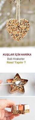 Kuslar Icin Balli Kraker Yem Tarifi Diy Yesil Parmak 2020 Kus Kus Yemi Yaratici