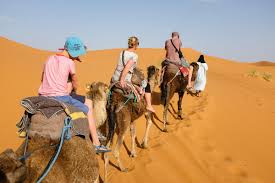 This is the top desert camp service provider in morocco. Luxury Tent Merzouga Camp Morocco Booking Com