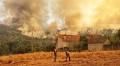 Intensifying Wildfires Cause Chaos Across Spain
