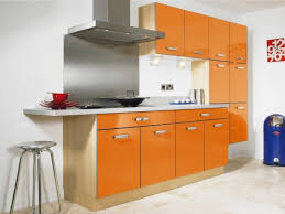 astonishing orange kitchen paint ideas