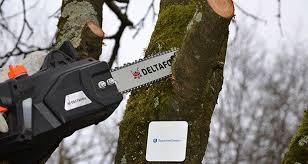 Forstbedarf im baywa shop einfach online bestellen ️ schnelle lieferung ️ jetzt forstbedarf günstig kaufen! Elektro Kettensage Test Vergleich 2021 á… Tuv Zertifiziert