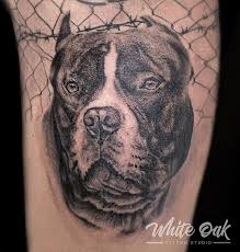 Black And White Pitbull Tattoos Pitbull Tattoo By Budzso81 Blackandgraytattoo Realismtattoo Dogportraittattoo Doglover Black And Grey Tattoos Dog Portrait Tattoo Realism Tattoo