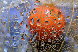 水滴 写真 撮り 方