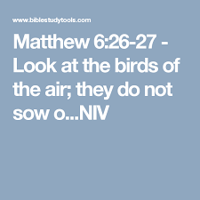 Look At The Birds Of The Air Niv Matthew 6 26 27 Look At The Birds Of The Air They Do Not Sow O Niv Faith