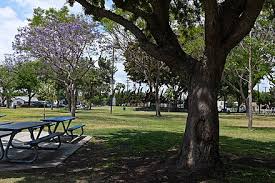 I arrived 30 mins earlier because i was a first time patient, so i would have to fill out paperwork. Bell Gardens California Wikiwand