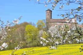 Auch an einer windgeschützten hanglage fühlt er sich wohl, da sich kalte luft dort niemals über längere zeit hält. Kirschblute Schonste Orte In Deutschland Geo