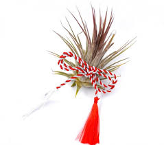 Download on picpng your photos, background png transparent, icons or vectors of martisor. Comanda Un Martisor Natural Tillandsia Planta Aerofita Martisor