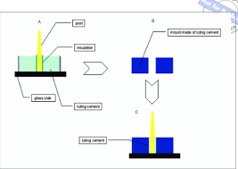 Light cure for 10 seconds. A Schematic Of The Procedure For Luting A Fiber Post Into An Artificial Download Scientific Diagram