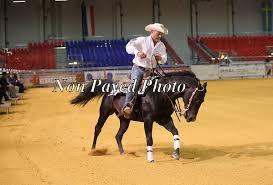 Thomas Posch No 234 Americana 2017