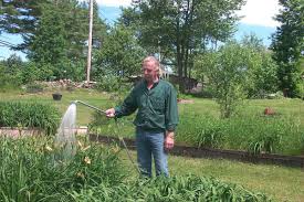 Lawns grown on sandy soil require more frequent irrigation applications (with less water per application) than lawns grown on clay soil. Here S How You Can Tell If You Re Watering Enough Or Too Much