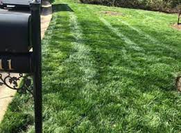 Carolina custom landscaping was founded in 2012 by alex fogleman and ben. Burlington Nc Landscaping From 29 1 Landscapers Best Of 2021
