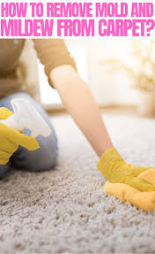 How To Remove Mold And Mildew From Carpet Mold Remover Mold And Mildew Cleaning Mold