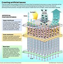 Scientists Now Able To Transform Sun S Energy Into Liquid Fuel Photosynthesis Climate Change New Leaf