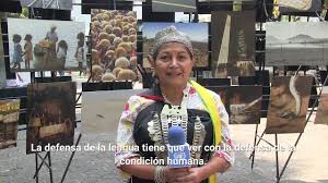 Es profesora en inglés en la universidad de la frontera de temuco. Elisa Loncon Antileo Docente E Investigadora Mapuche Youtube