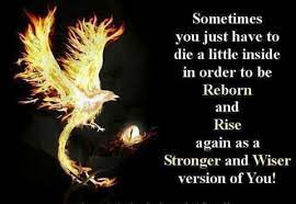 Best rebirth quotes selected by thousands of our users! Fenix Of Life Rebirth Quotes Phoenix Quotes Inspirational Quotes