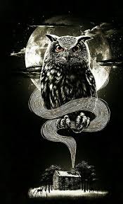 Pin By Tija Koprivnik On Owls Owl Artwork Owl Tattoo Design Tattoo Art Drawings