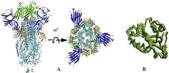 Ist die mutation des coronavirus aus großbritannien bereits in deutschland angekommen? Characterizations Of Sars Cov 2 Mutational Profile Spike Protein Stability And Viral Transmission Biorxiv