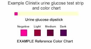 78 Methodical Colour Chart For Urine Test Strips