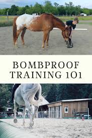 Bombproof Horse Training Horse Exercises Horses Horse Training