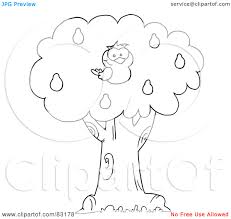Choose your favorite partridge in a pear tree paintings from 57 available designs. Pear Tree Coloring Pages Download And Print For Free