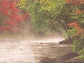 Profile Picture of Willard Edward Lubitz (1935–2010) • FamilySearchon Google