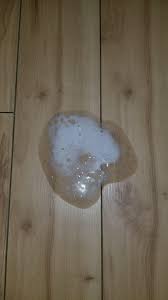 And, he could be doing so as a result of several conditions, some of which are serious while others are of less concern. Help Dog Coughing Up Mucus With White Foam Dogs