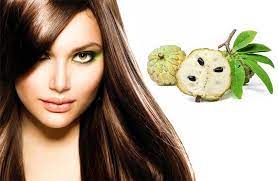 Formulation And Evaluation Of Herbal Hair Dye