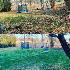 Check spelling or type a new query. Bismarck Lawn Care Maintenance Legacy Landscaping Bismarck Mandan Nd