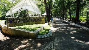 Kebun raya batam memiliki luas sekitar 86 hektar dengan koleksi habitan tumbuhan yang terus bertambah. Kebun Raya Purwodadi Jadi Cabang Kebun Raya Indonesia