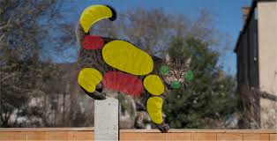 The cat is essentially demanding that you back away and leave it alone. How To Stroke A Cat And Interact With Them Battersea Dogs Cats Home