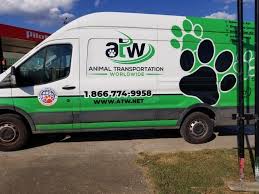 Animal Transportation Worldwide Pet Transport Pet Transport Service Transportation