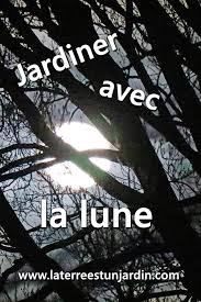 Jardiner Avec La Lune Vous Y Croyez La Terre Est Un Jardin