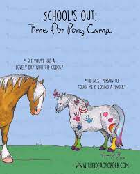 the idea of order pony camp funny horse pictures funny horse memes funny horses