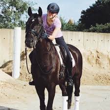 Le film retrace la métamorphose de reginald dwight, un jeune pianiste prodige timide, en une superstar mondiale. Heike Schmidt Bosse Dressurausbildung Home Facebook