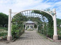 les squares de belfort 6eme episode le square de la roseraie ou carlos bohn le cartophilion square pepiniere lieux