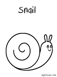 Printable snail shell coloring page. Moon Snail Sea Shell Coloring Page Coloring Home