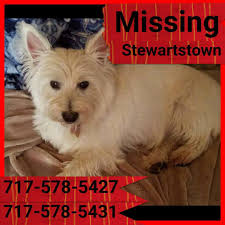 missing person at yoga retreat in bahamas