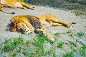 Olomouc Zoological Garden Central Moravia