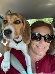 What is a beautiful name for a beagle?