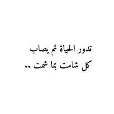 Pin On Quotes Humor
