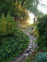 How Awesome Would It Be To Get Married At The Shire Dream Garden Garden And Yard Scenery
