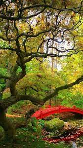 14 Nature Wallpaper Hd 1080p Free Download For Mobile Basty Wallpaper Nature Wallpaper 3d Nature Wallpaper Android Wallpaper Nature
