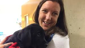 I am a vet student articles and career information