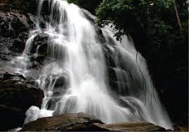 Sirimane falls, near kigga sirimane falls is situated at a distance of 12 km from sringeri, and 5 km from kigga. Kanaka Heritage On Twitter Place Of Interest Near Sringeri Sirimane Falls Sringeri Homestay Sirimanefalls