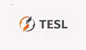 tesl台灣電子競技聯盟 identity design vibrant orange logos