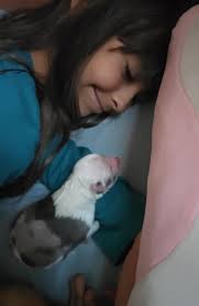 From a few years ago. Bill and Molly cooling off after bringing the cows  home.