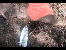 These are some of the forensic photos of the crime scene where caylee's remains were found, presented in evidence in the trial of casey anthony. Casey Anthony Photos 2 18 Discovery Released In Casey Anthony Case Youtube