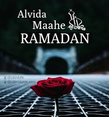 We did not find results for: Alvida Maahe Ramadan Dinilife Diniaurat Ramadan Quotes Ramadan Ramadan Day