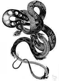 For boys and girls, kids and adults, teenagers and toddlers, preschoolers and older kids at school. Queen Snake Drawing By Daria Tekuch Saatchi Art