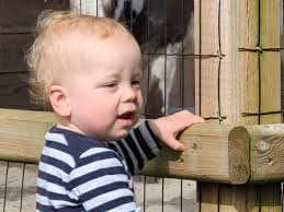 Borgjes Boerderijtje Kinderopvang